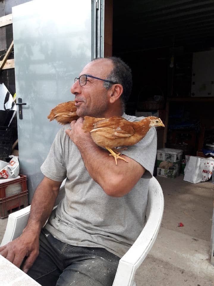 Ali Guler, maraîcher à Ecquevilly, avec ses poules